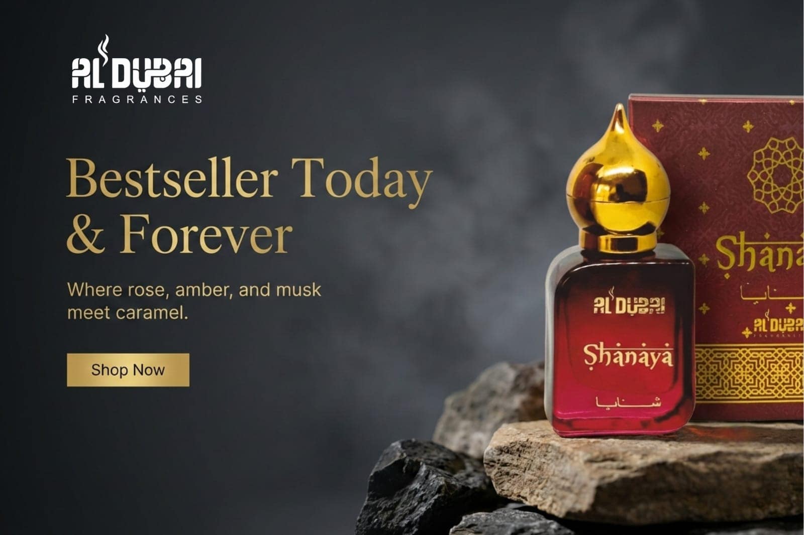 WhatsApp Image 2026-02-19 at 22.05.38 (1)